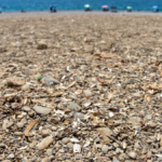 Ünlü sahile kirlilik tehdidi