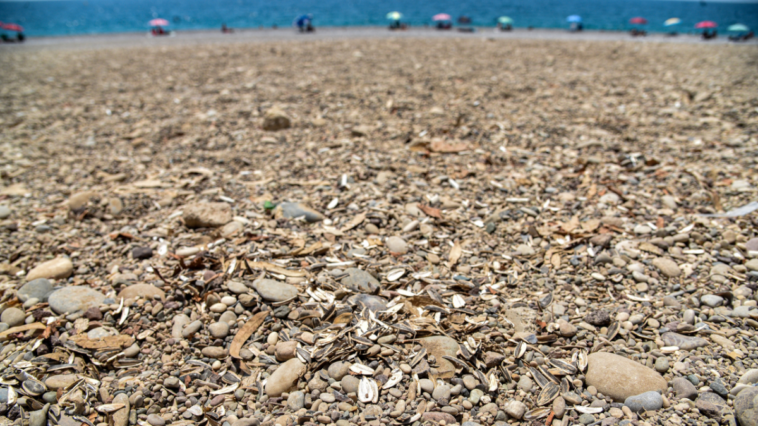 Ünlü sahile kirlilik tehdidi