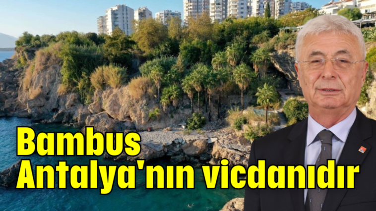 Bambus Antalya'nın vicdanıdır