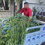 Korkuteli'nde örnek işbirliği