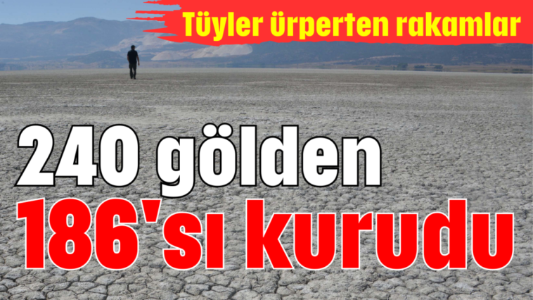 240 gölden 186'sı kurudu