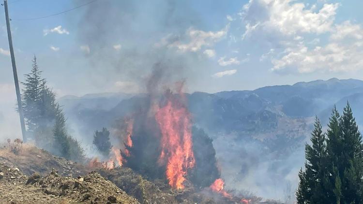 Alanyada makilik yangını