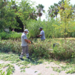 Büyükşehir'den ilçelerde parklara bakım onarım çalışması