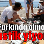 Farkında olmadan plastik yiyoruz