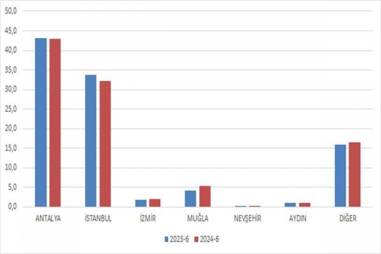 image_750x_66bc39cc28e05-1