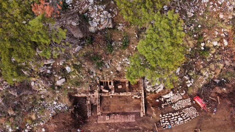 image_750x_66cc53715f9ca-1