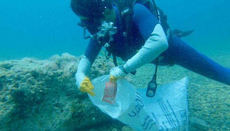 image_750x_66eaab5ed57ba