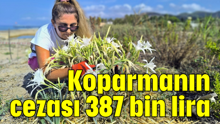 Koparmanın cezası 387 bin lira