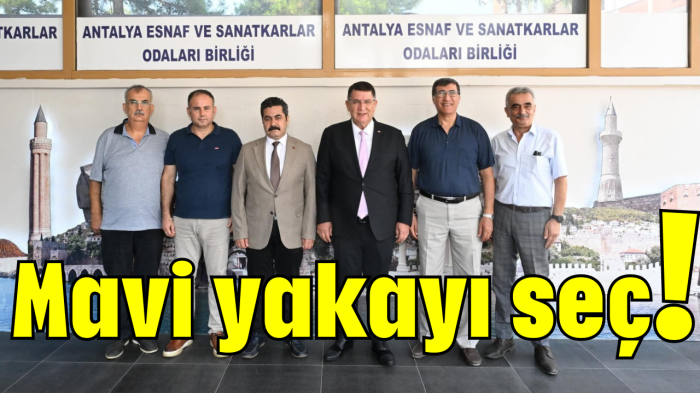 Mavi yakayı seç!