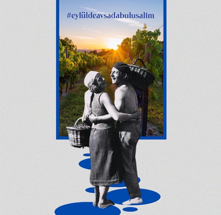 image_750x_66d6d56492345-1