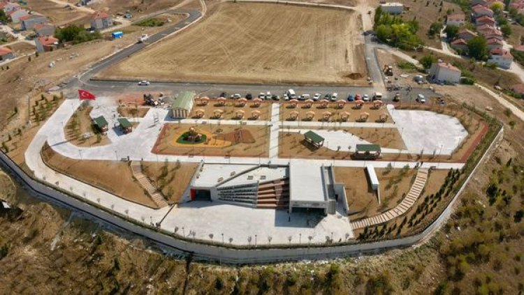 image_750x_66de7d0c04953-1