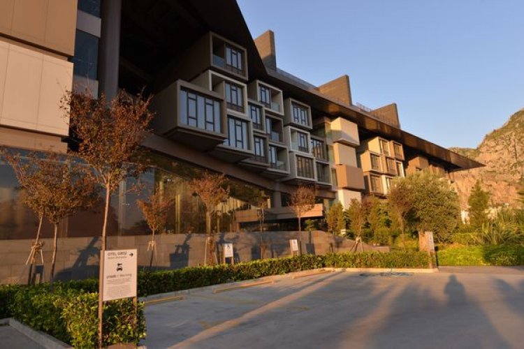 image_750x_66fd64b01d4df-1