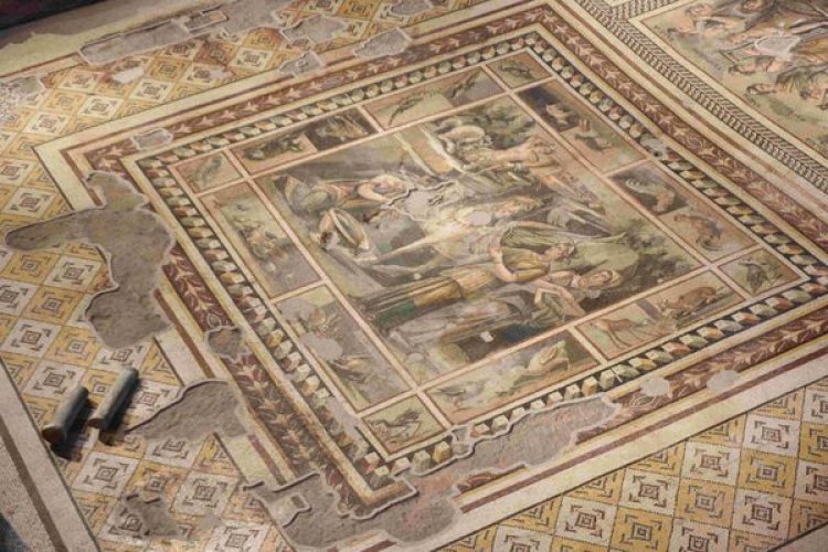 image_750x_66fd64b174b71-1