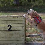 Antalyada işitme engelli öğrencilere afet farkındalık eğitimi