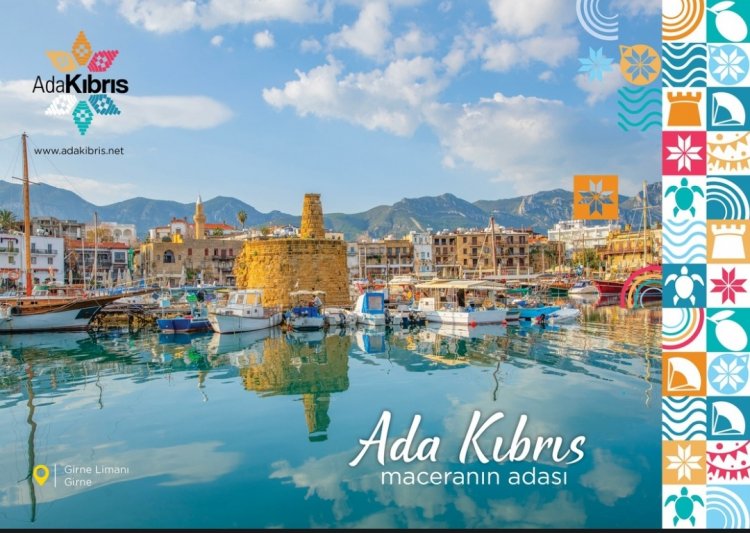 image_750x_6707f793df102-1