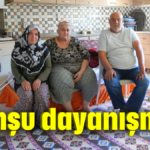 Komşu dayanışması