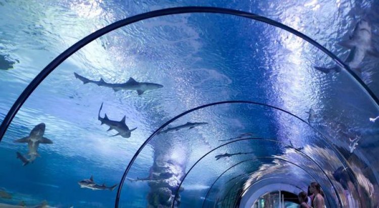 image_750x_67409ba4001b8