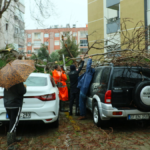 Rüzgardan ikiye bölünen ağaç otomobillerin üzerine düştü