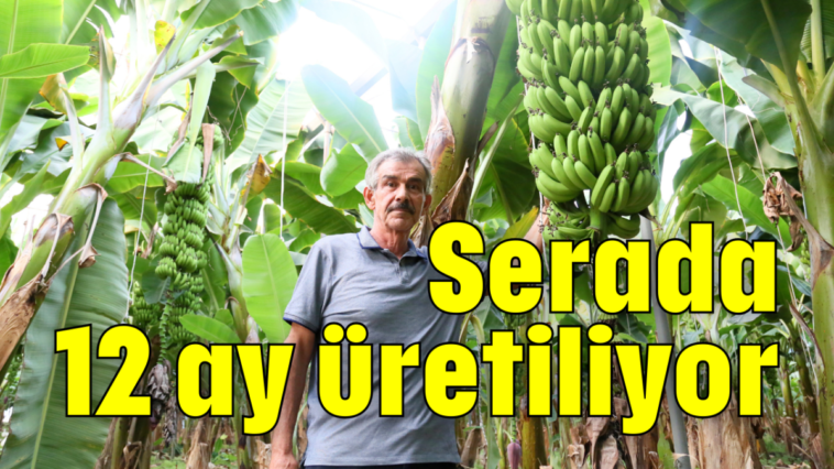 Serada 12 ay üretiliyor