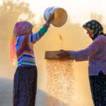 7. Antalya Yörük Çalıştayı başlıyor