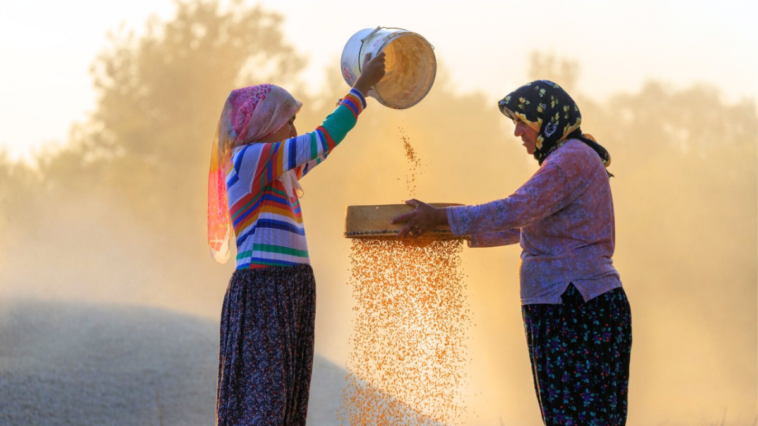 7. Antalya Yörük Çalıştayı başlıyor