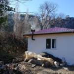 Barınma Projesi'yle 290 ev onarıldı