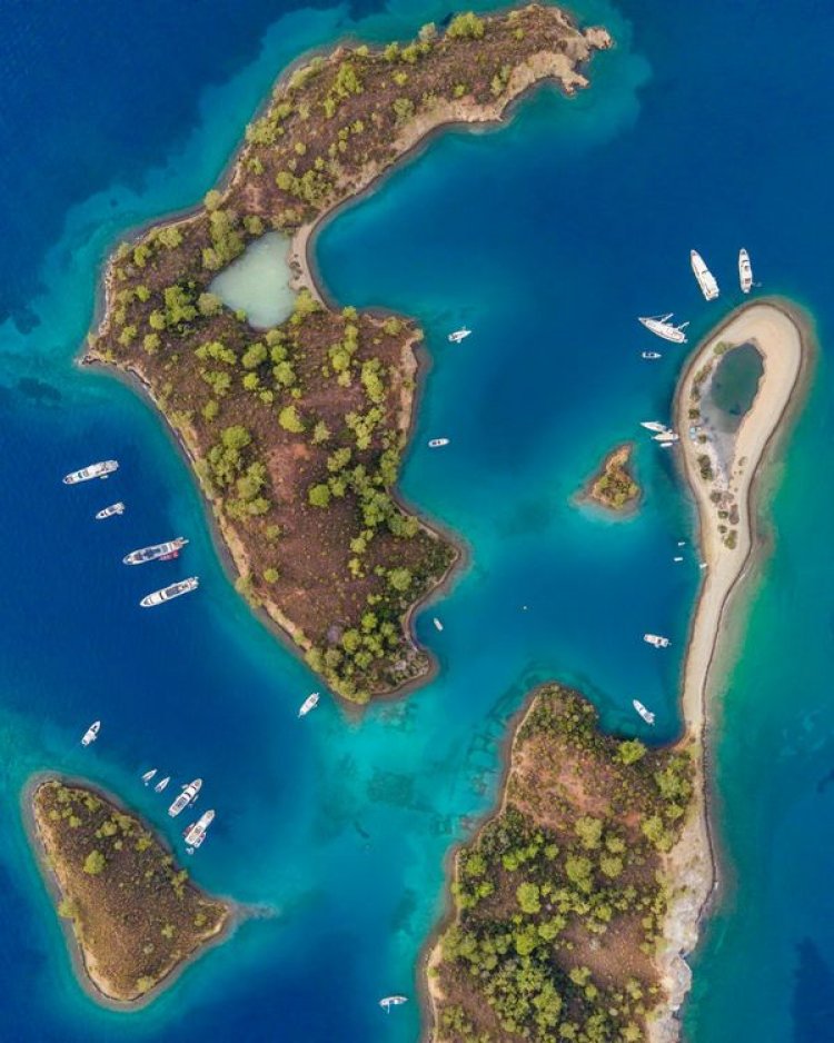 image_750x_67694d43ae8b0