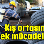 Kış ortasında sinek mücadelesi