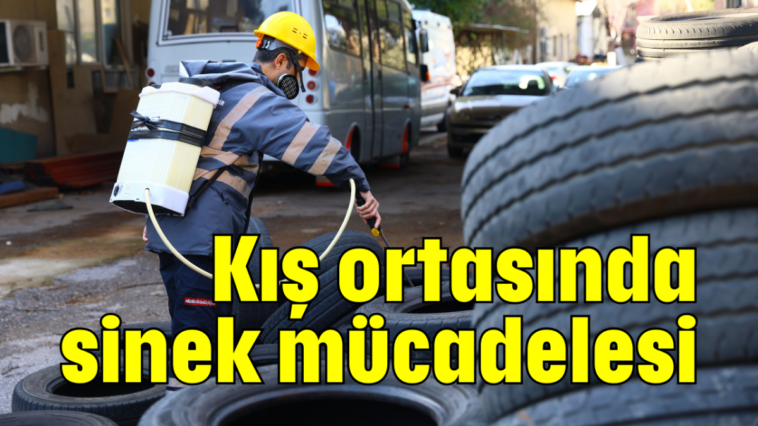 Kış ortasında sinek mücadelesi