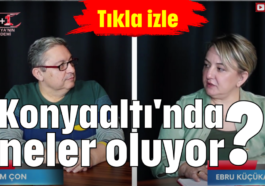 Konyaaltı'nda neler oluyor?