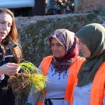 Manavgat'a safran ve salep fidesi hibesi