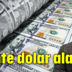 Sahte dolar alarmı