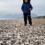 Sahillerde karaya çıkarılması yasak balon balığı tehlikesi