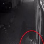 Madde bağımlısı, kuaför dükkanını yakmaya çalıştı