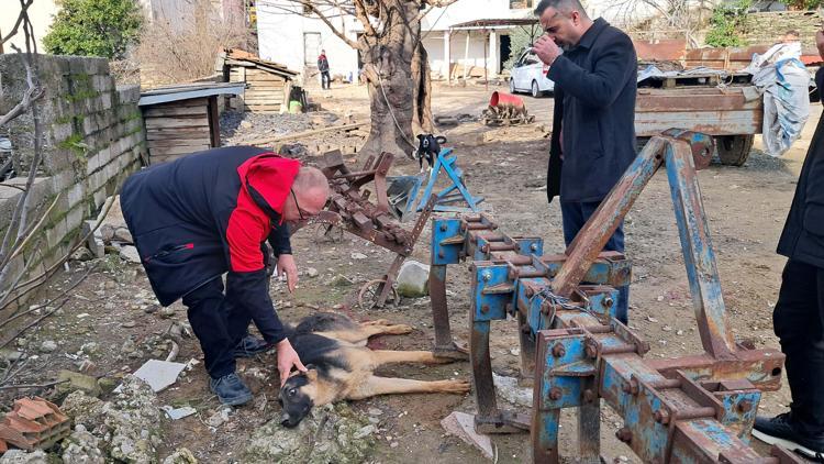Hayvanlarına zarar verdiğini öne sürdüğü köpeği av tüfeğiyle vurdu