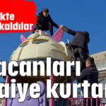 Afacanları itfaiye kurtardı