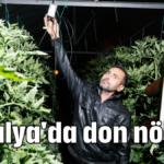 Antalya'da don nöbeti