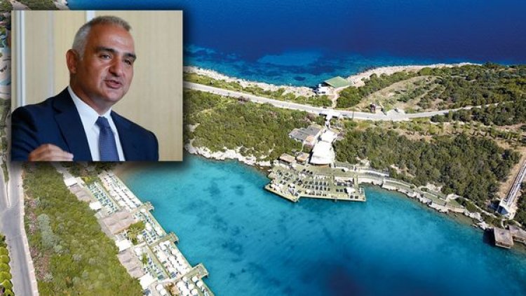 image_750x_67934d89477af-1