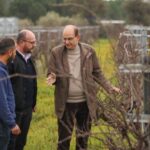 RAZAKI ÜZÜMÜYLE AGRO TURİZMİ HEDEFLİYOR