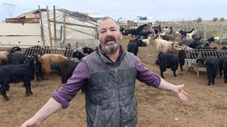 Manavgat'ta sokak köpekleri 25 keçiyi telef etti