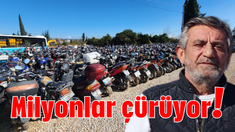 Milyonlar çürüyor!