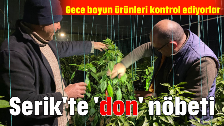 Serik'te 'don' nöbeti