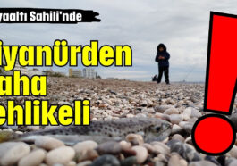 Siyanürden daha tehlikeli!