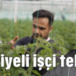 Suriyeli işçi telaşı