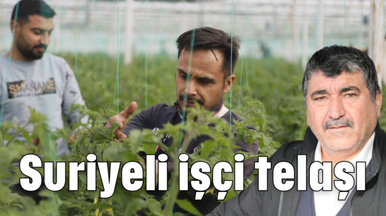 Suriyeli işçi telaşı
