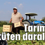 Tarımda ürküten daralma