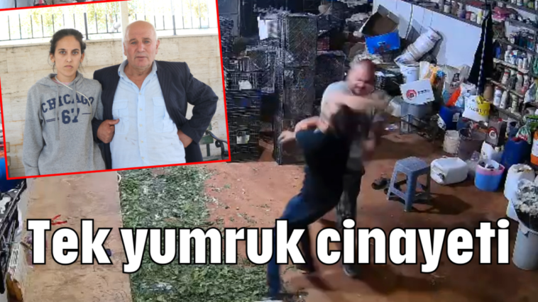 Tek yumruk cinayeti
