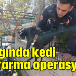 Yangında kedi kurtarma operasyonu
