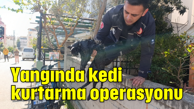 Yangında kedi kurtarma operasyonu