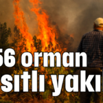 1956 orman kasıtlı yakıldı